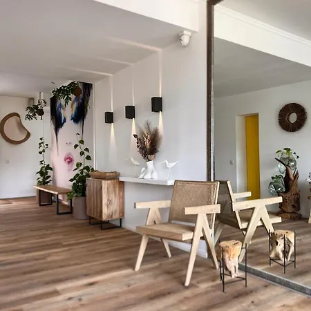 Shard Boutique Hotel-adult Only Guest house Brasov