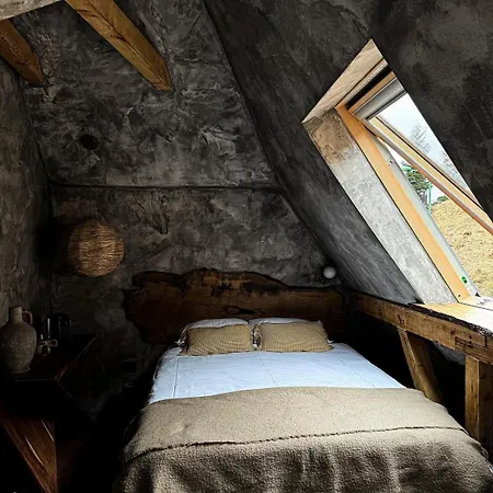 Shard Boutique Hotel-adult Only Maison d'hôtes 3*