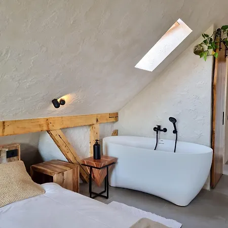 Shard Boutique Hotel-adult Only 3* Brasov