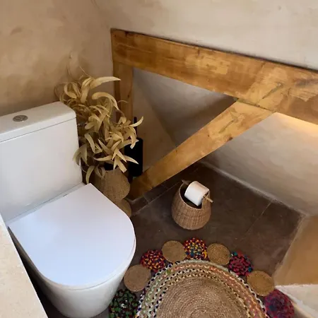 Shard Boutique Hotel-adult Only 3* Braşov