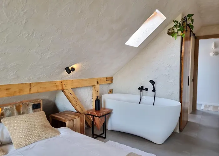 Shard Boutique Hotel-adult Only 3* Brașov